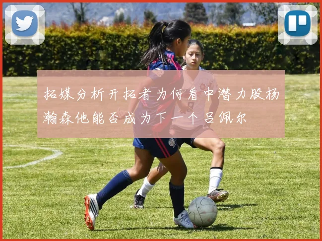 拓媒分析开拓者为何看中潜力股杨瀚森他能否成为下一个吕佩尔